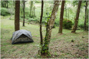 peppermint ridge camping area