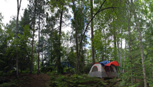 Frenchmans Creek Camping Area