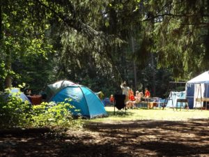 Cooks Mill Camping Area
